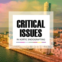Critical Issues 2024